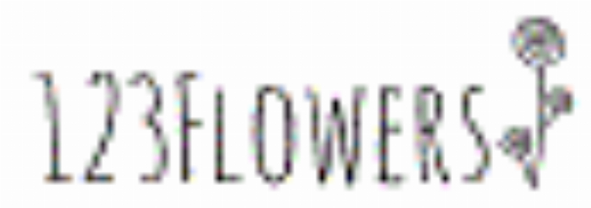 123 Flowers