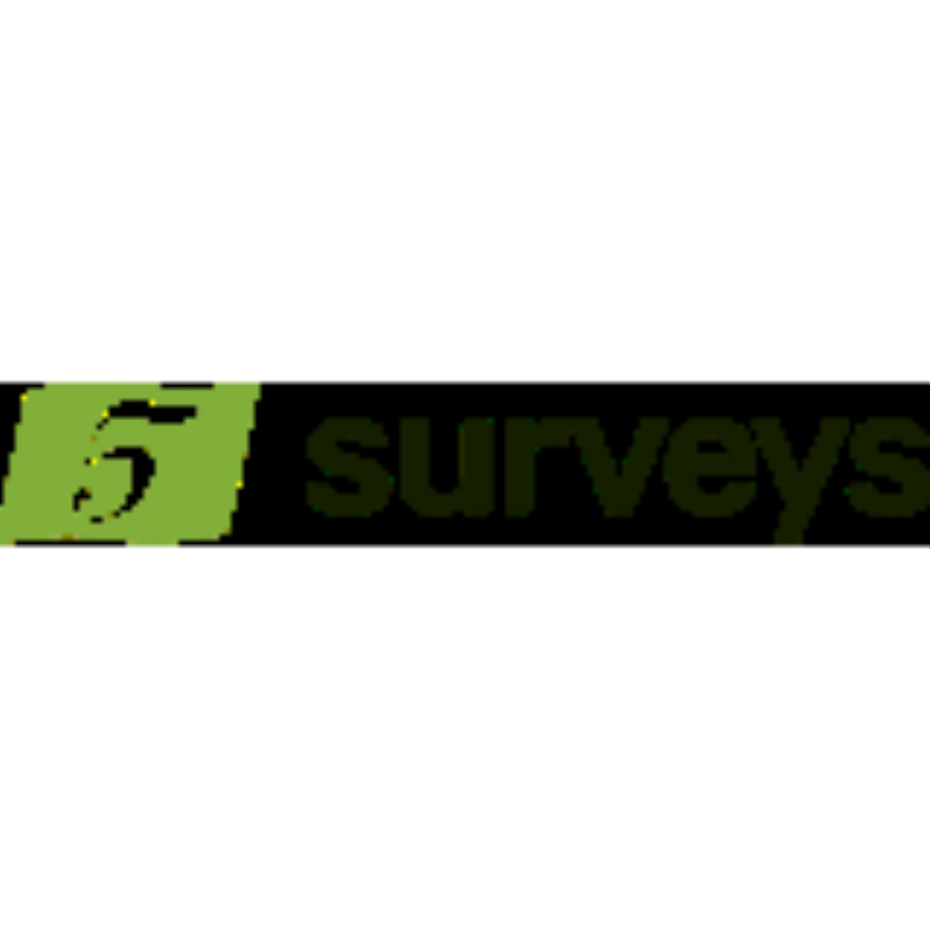 5 Surveys