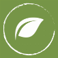 Affiliate Marketing