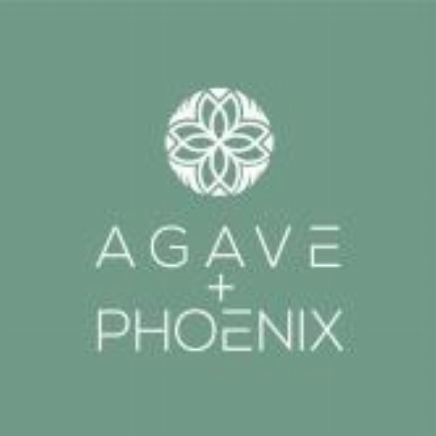 Agave Phoenix