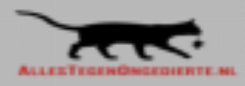 Alles Tegen Ongedierte