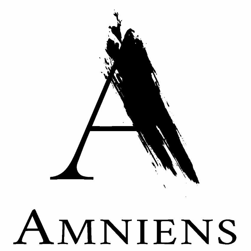 AMNIENS