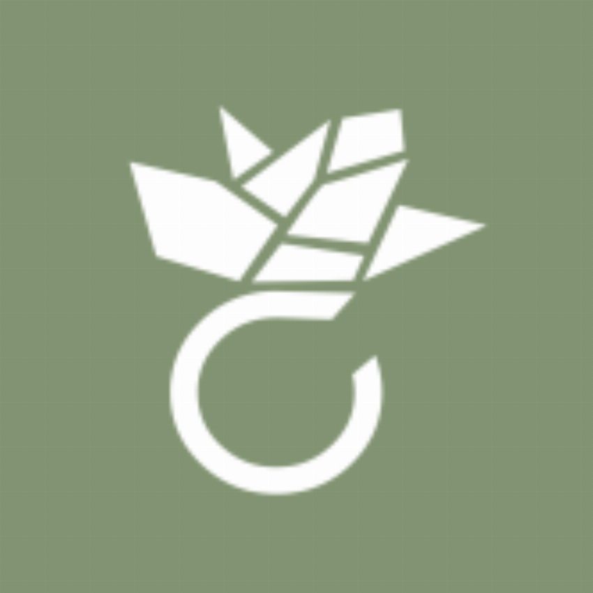 Amoonic - precious by nature