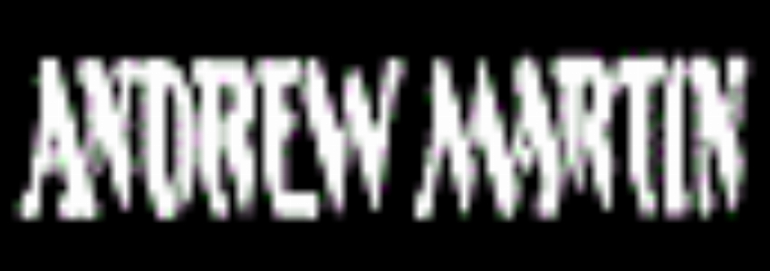 Andrew Martin