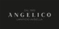Angelico 2024 IT