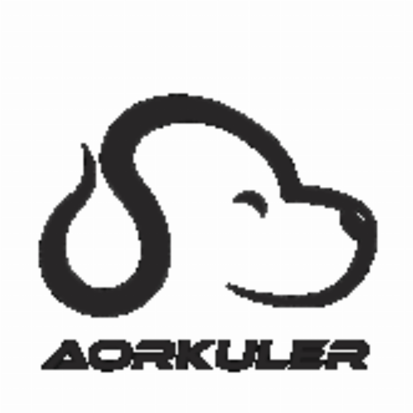 Aorkuler