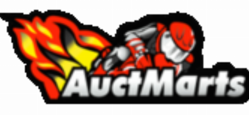 Auctmarts Trading Co