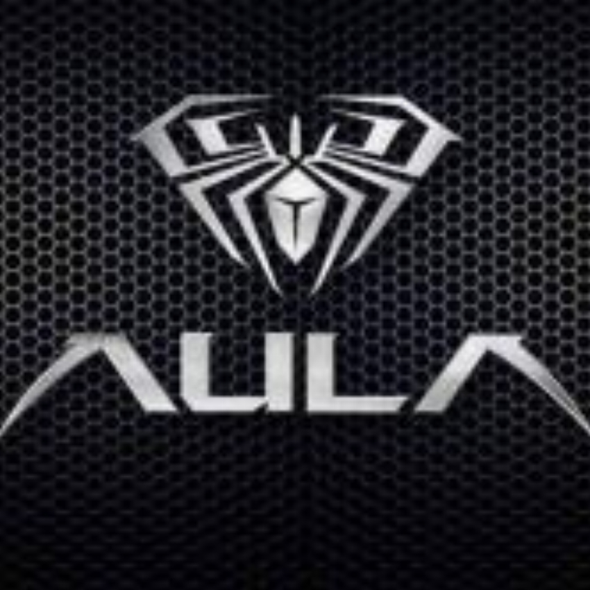 Aulagaming