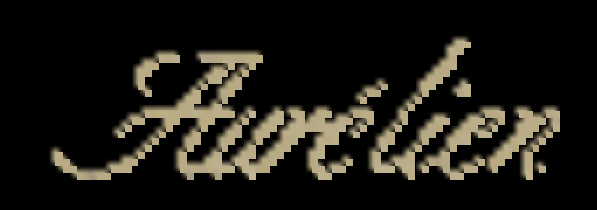 Aur lien Smart Luxury