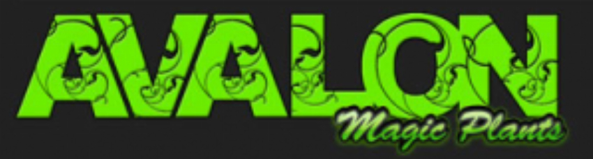 Avalon Magic Plants