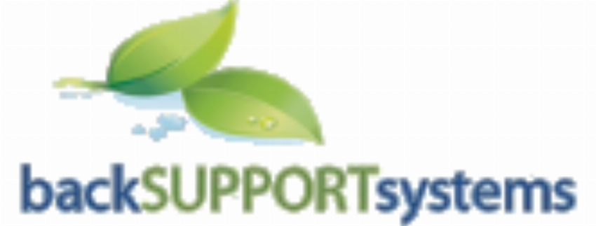 Back Support Systems INC