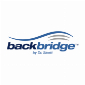 Backbridge