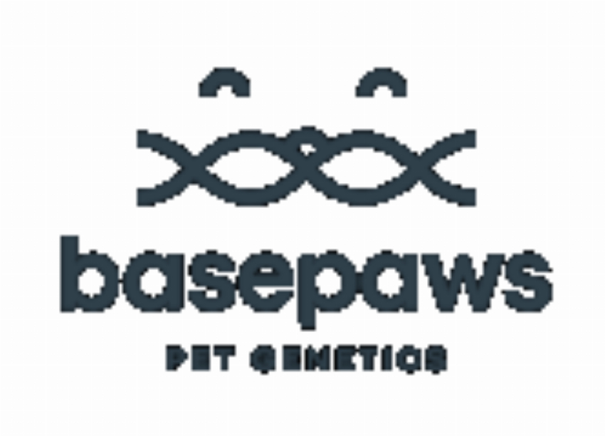 Basepaws