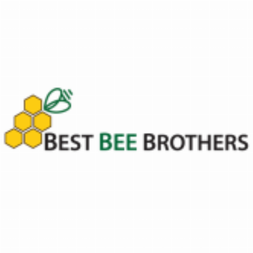 Best Bee Brothers