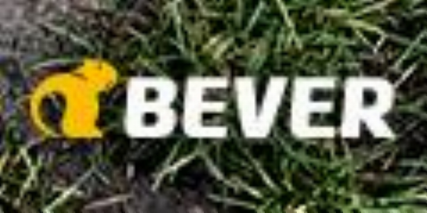 Bever