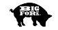 Big Fork Brands