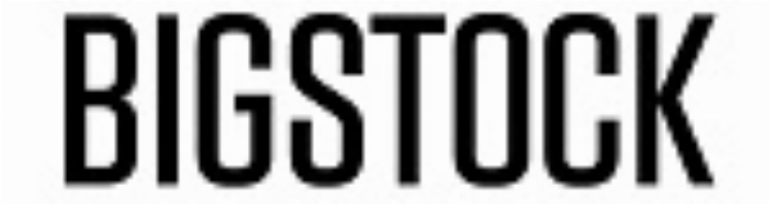 BigStock