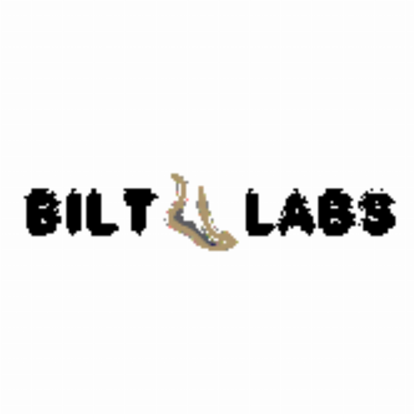 Bilt Labs Inc
