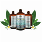BioFulvic