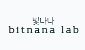 Bitnana Lab