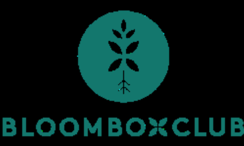 Bloombox Club
