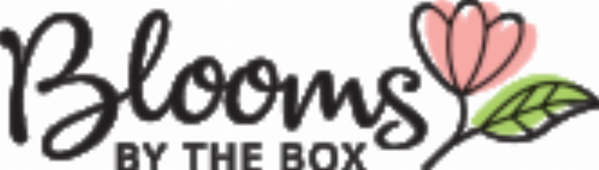 BloomsByTheBox