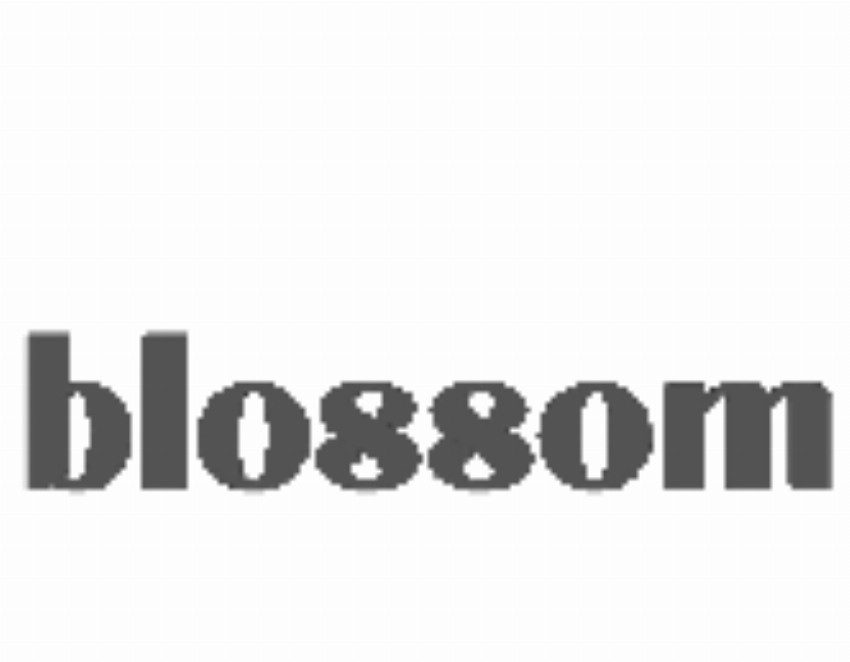 Blossom