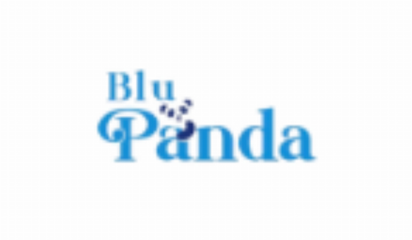 Blu Panda IT