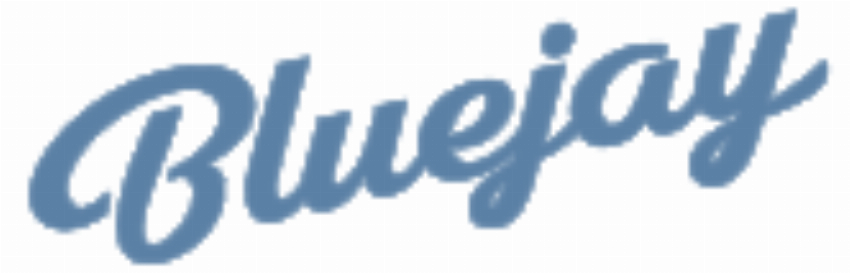 Bluejay Electric Bikes