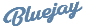Bluejay Electric Bikes