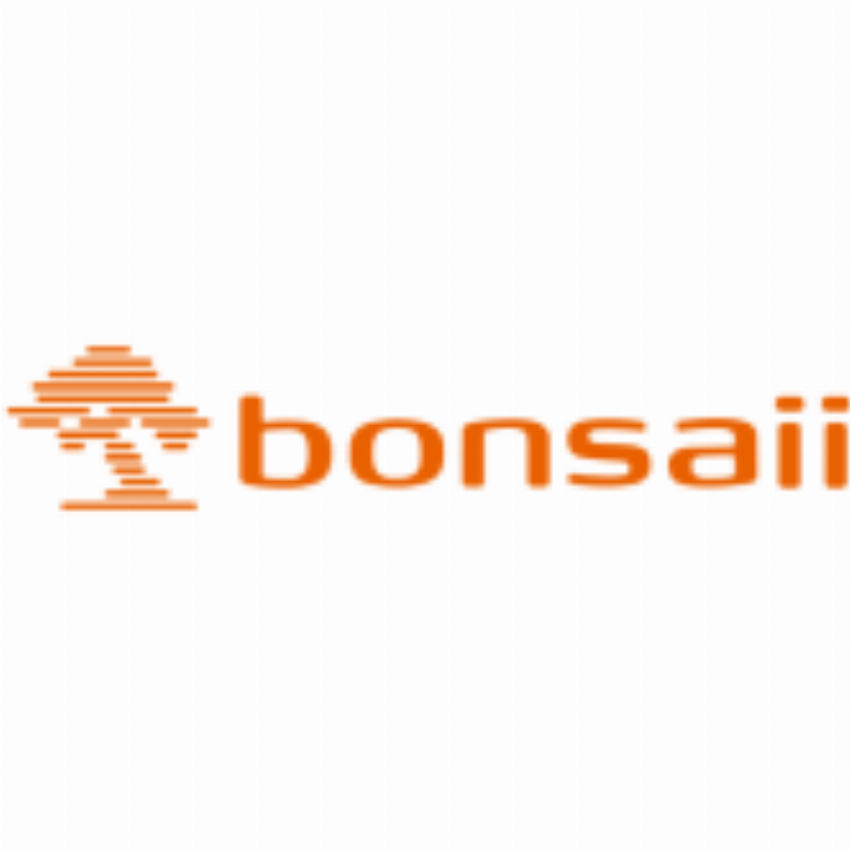 Bonsen Electronics Inc