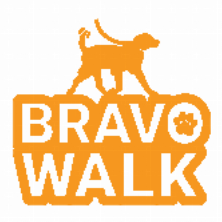 BravoWalk
