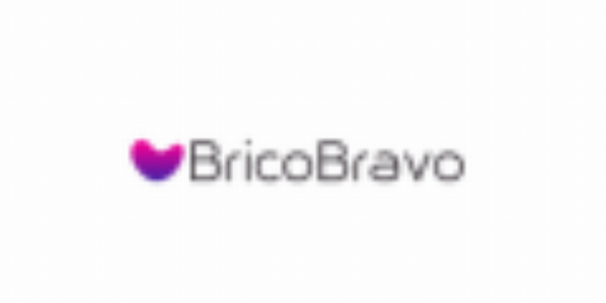 BricoBravo IT
