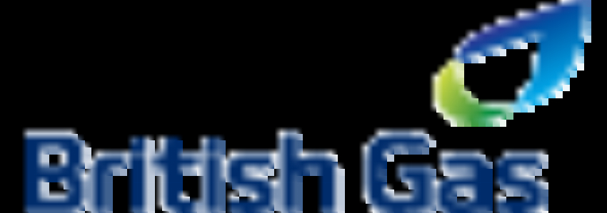 British Gas - Service Repair