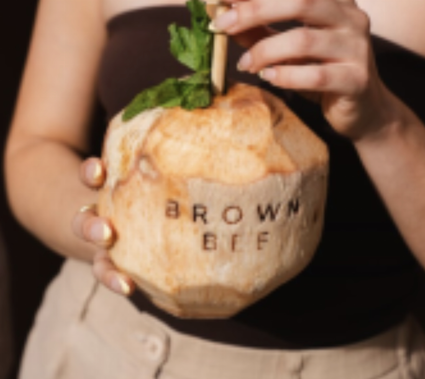 Brown Bee