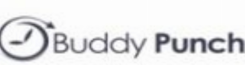 Buddy Punch