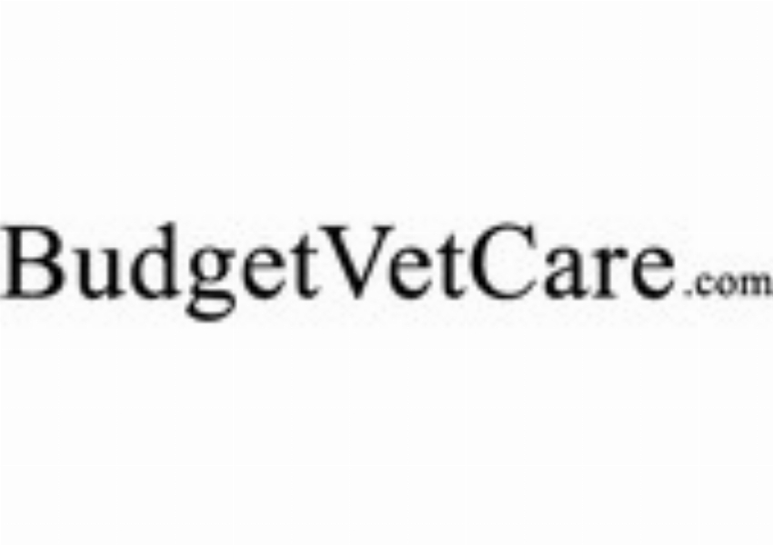 Budget Vet Care