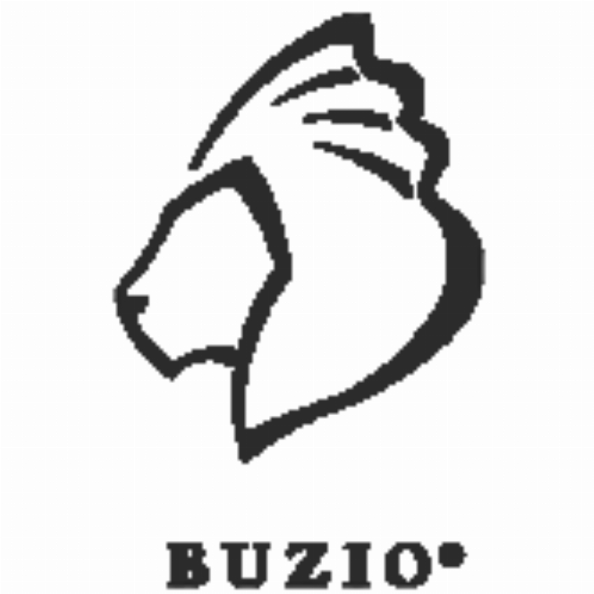 Buzio