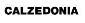 Calzedonia