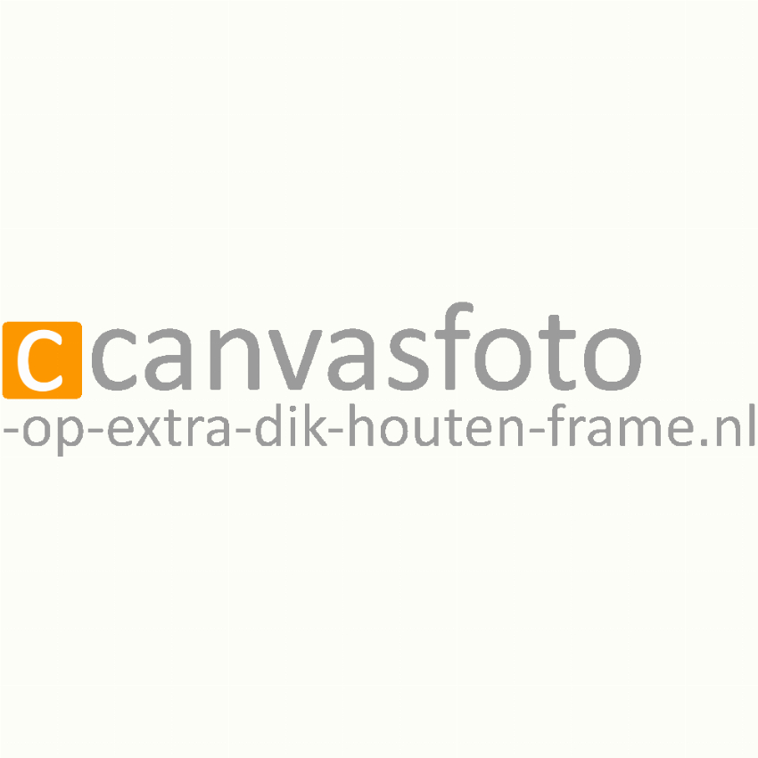 Canvasfoto-op-extra-dik-houten-frame