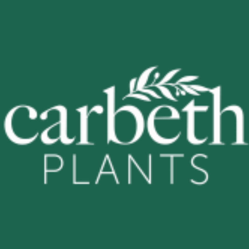 Carbeth Plants