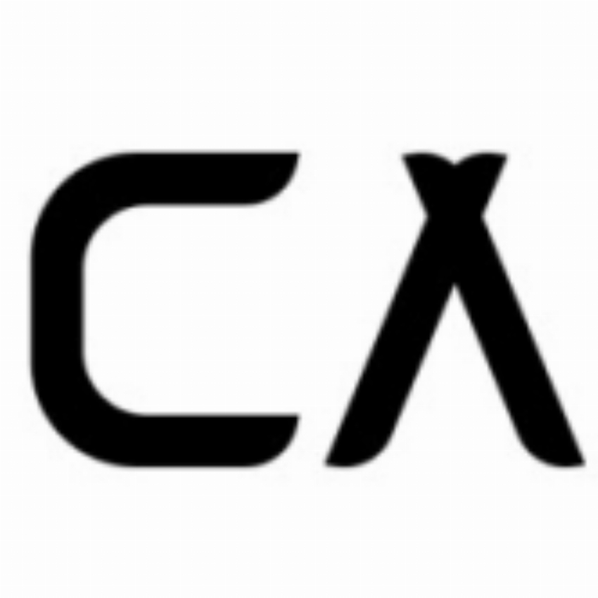 Career Agents Reverse Recruiters