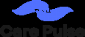 Caring Pulse