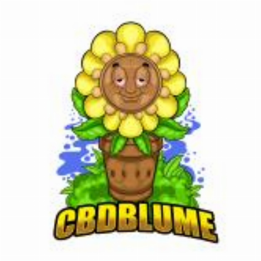 CBD Blume