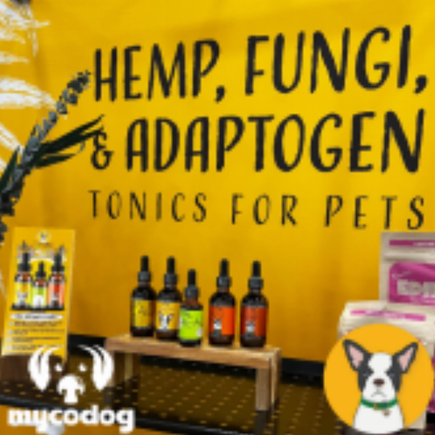 CBD Dog Health