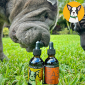 CBD Dog Health