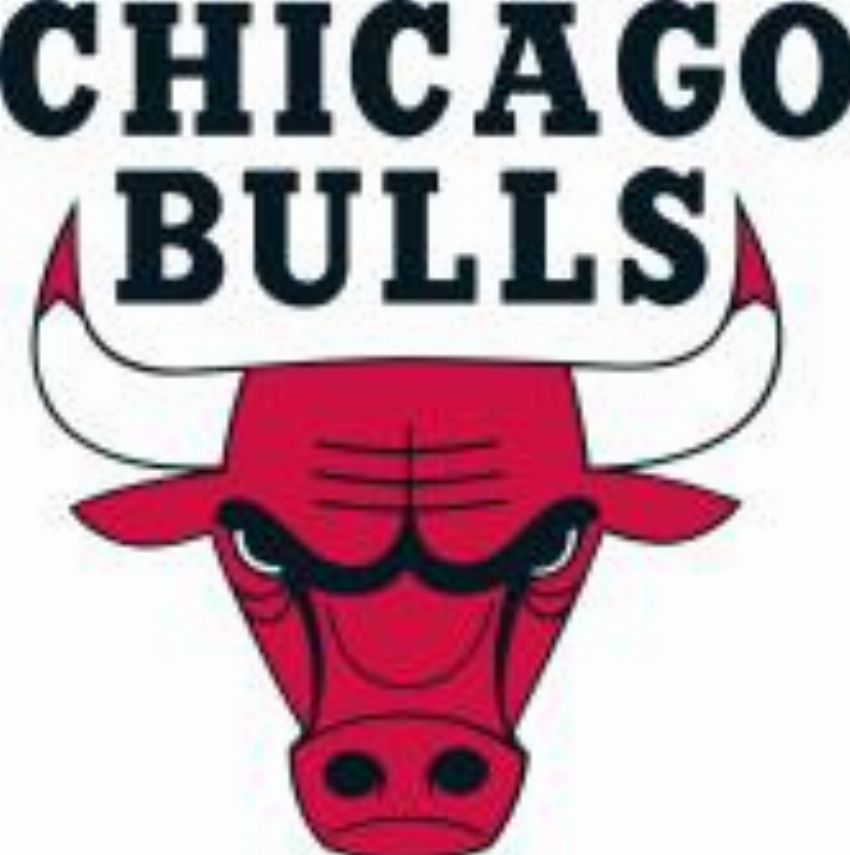 Chicago Bulls Official Store