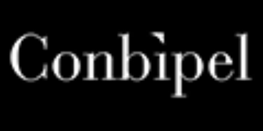Conbipel IT