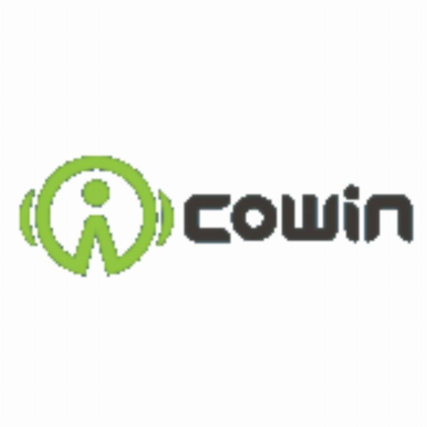 COWIN TECHNOLOGY INC