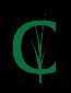 Criquet Shirts
